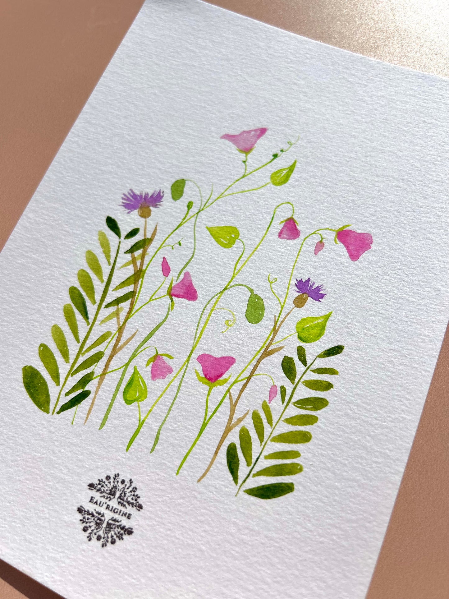 Aquarelle A5 - Liseron du printemps