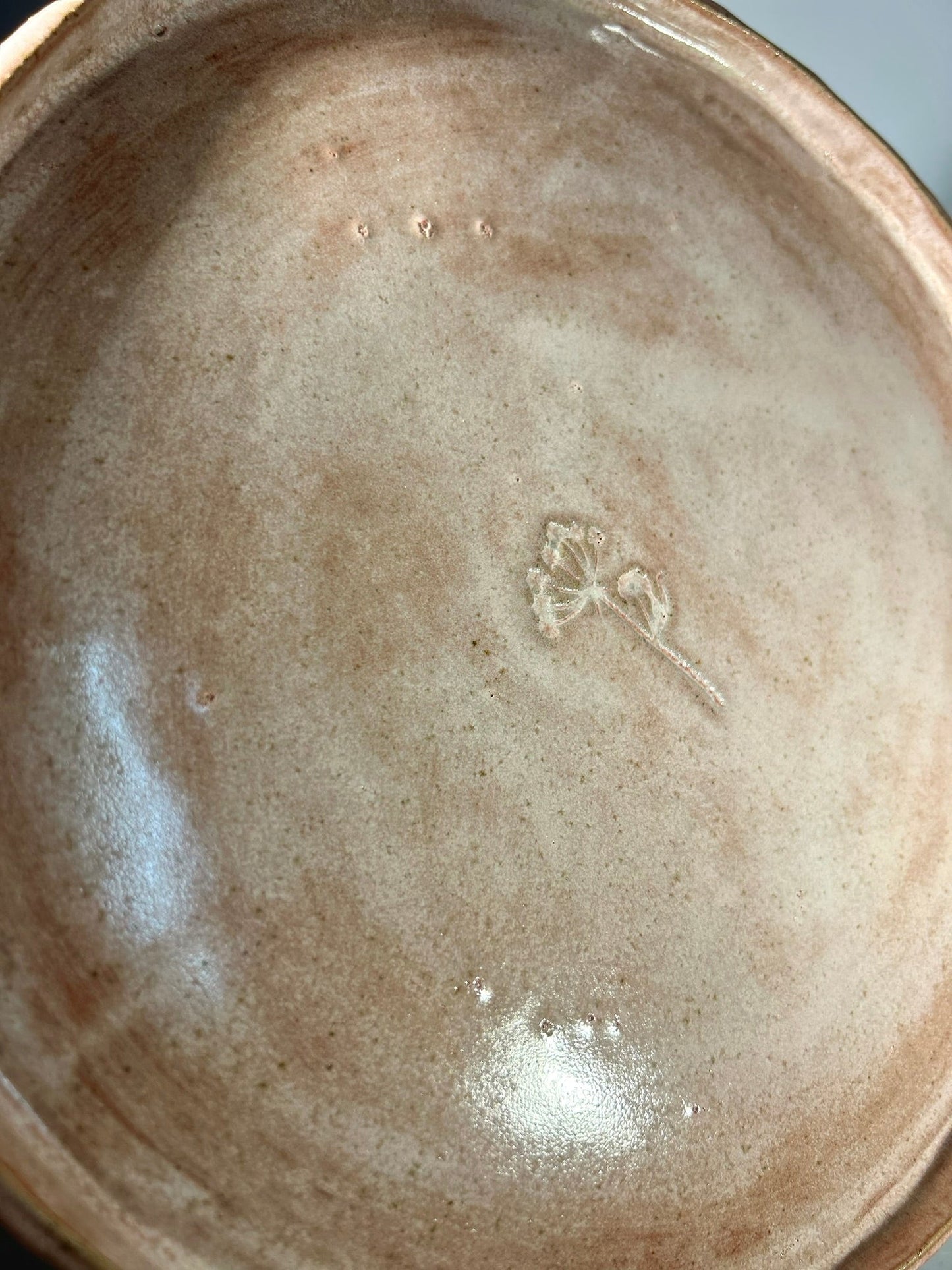 Grande assiette rose daucus 6