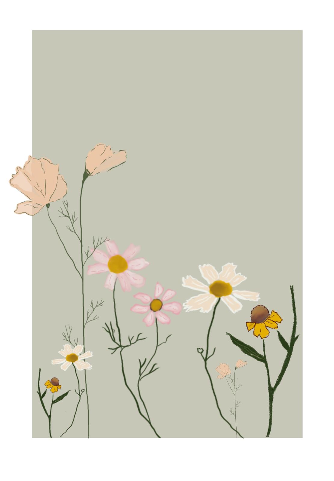 Illustration_numerique_fleurs_sur_fond_vert_sauge