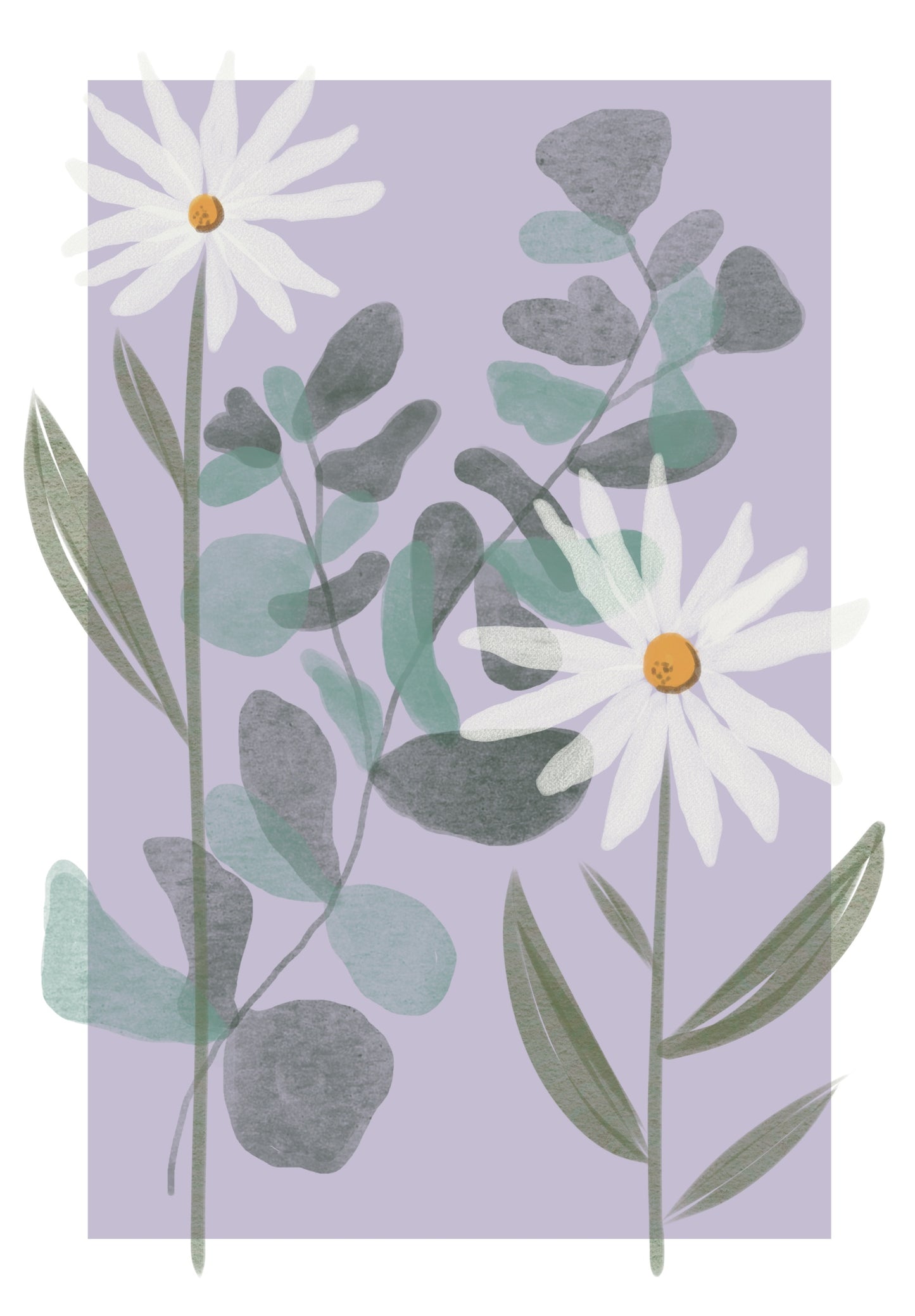 Marguerites et eucalyptus