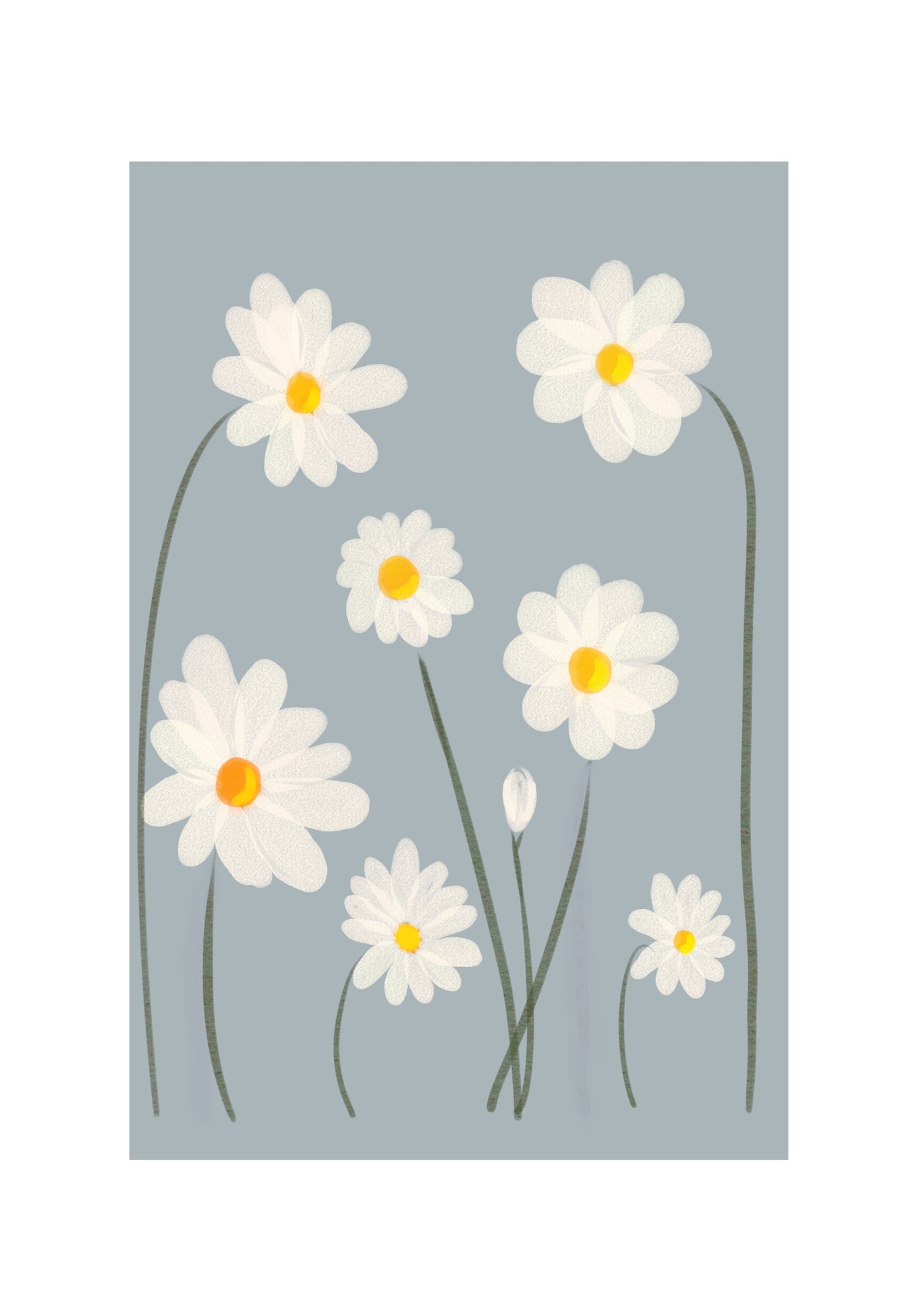Marguerites sur fond bleu