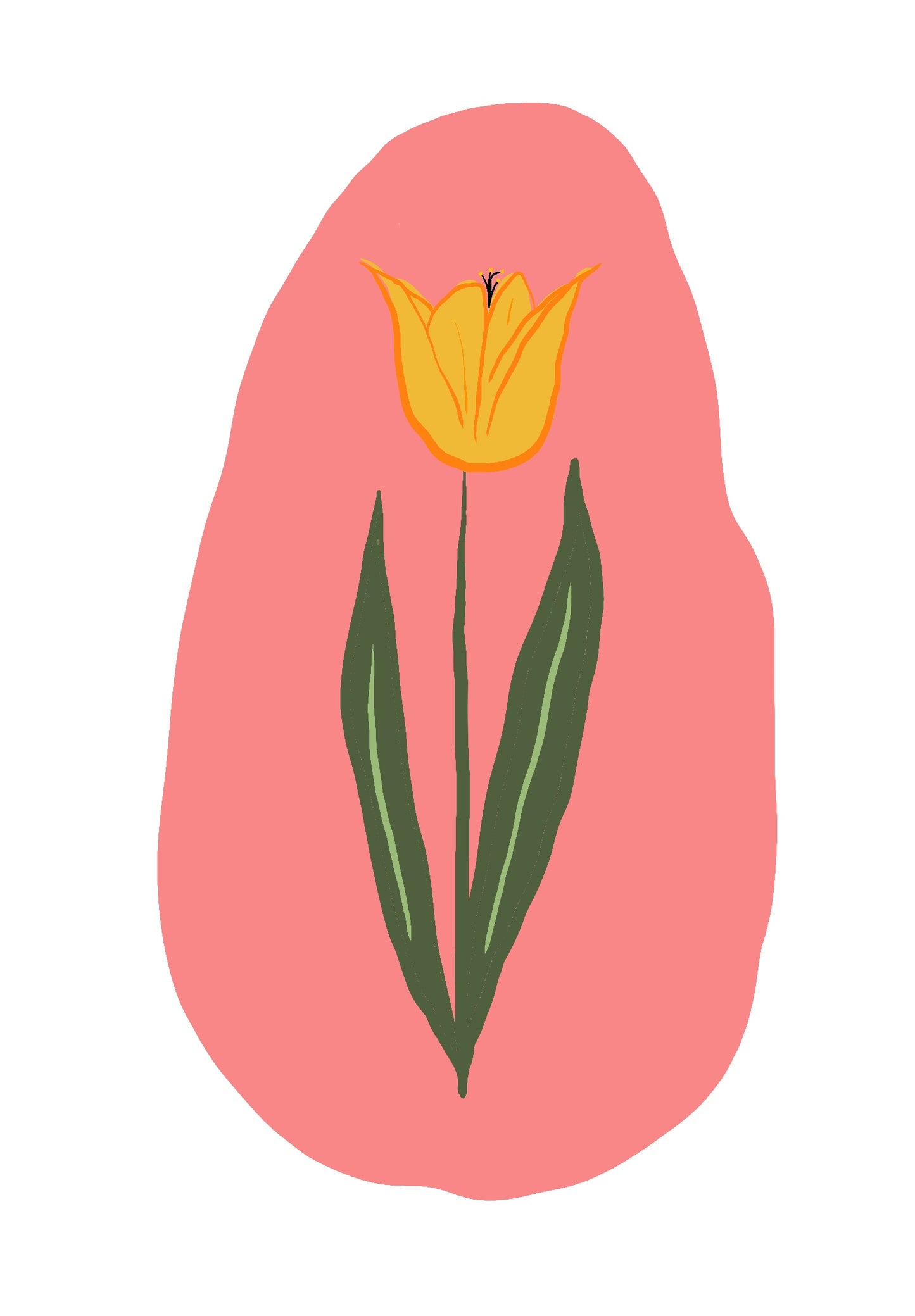 Tulipe jaune sur fond rose