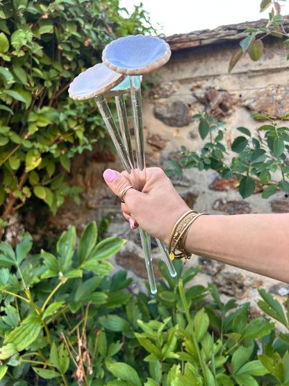Hâltes fraîcheur pour pollinisateurs - papillons, abeilles