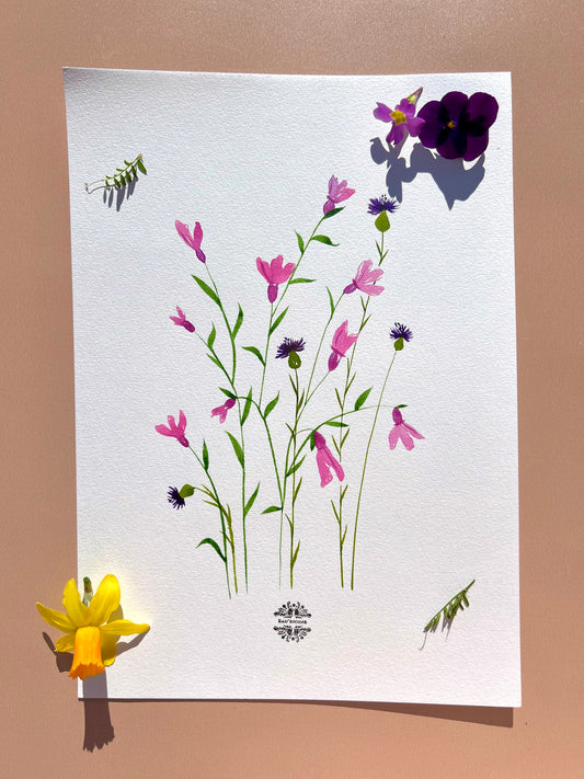 Aquarelle A4 - Lavande papillon et bleuets