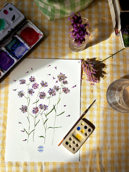Aquarelle A4 - Verveine de Buenos Aires