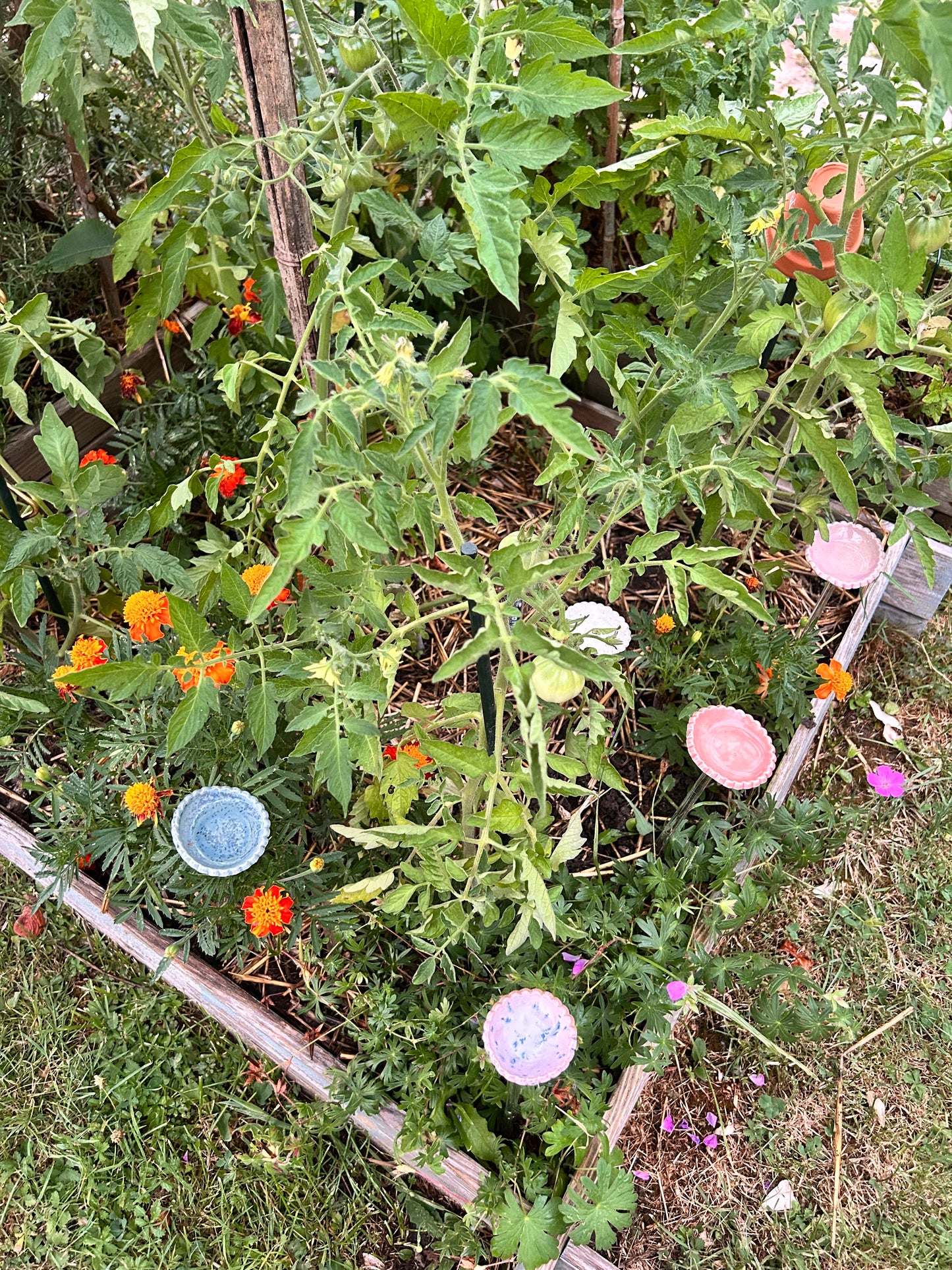 Hâltes fraîcheur pour pollinisateurs - papillons, abeilles