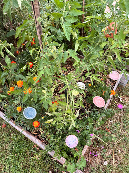 Hâltes fraîcheur pour pollinisateurs - papillons, abeilles