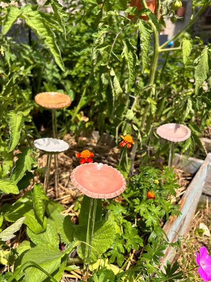 Hâltes fraîcheur pour pollinisateurs - papillons, abeilles