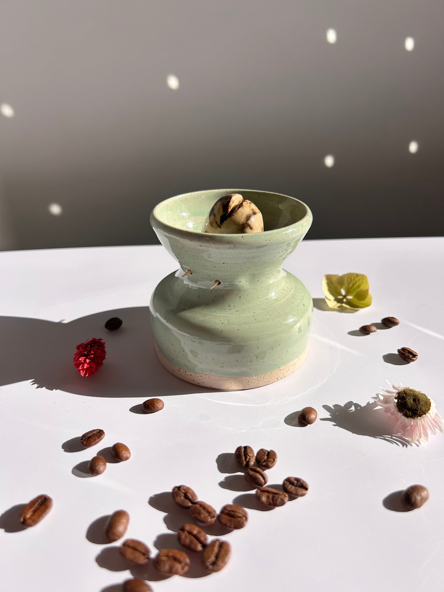 Vase germoir pour noyaux d’avocat