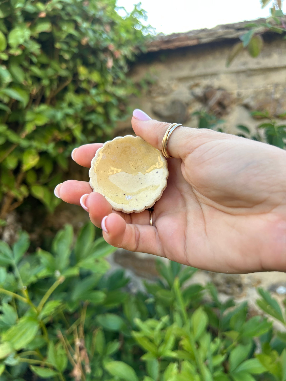 Hâltes fraîcheur pour pollinisateurs - papillons, abeilles