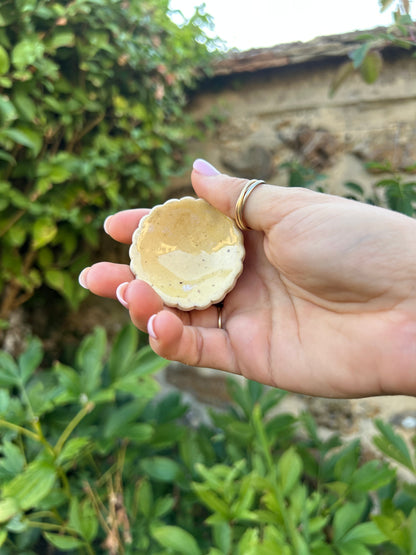 Hâltes fraîcheur pour pollinisateurs - papillons, abeilles