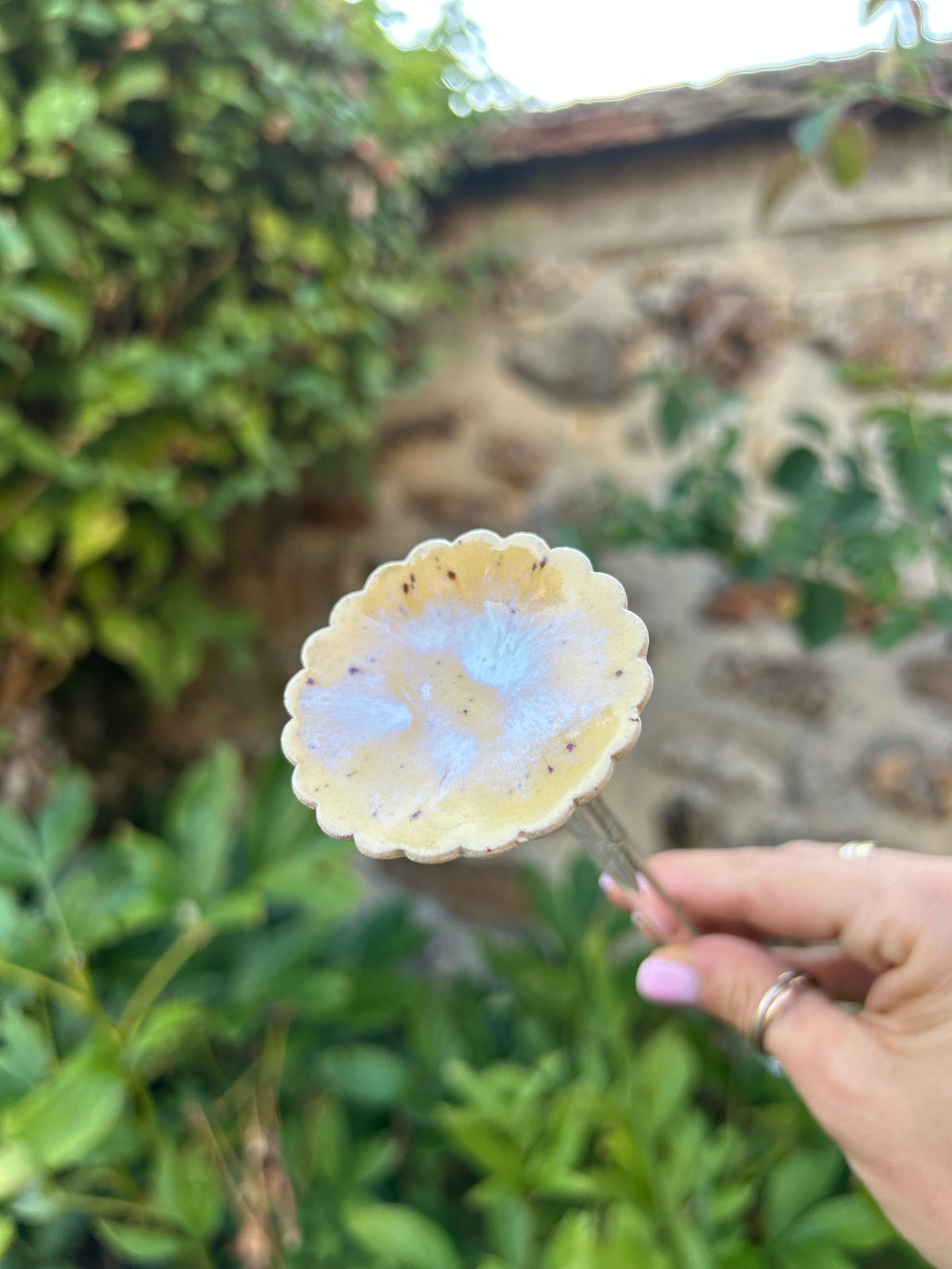 Hâltes fraîcheur pour pollinisateurs - papillons, abeilles