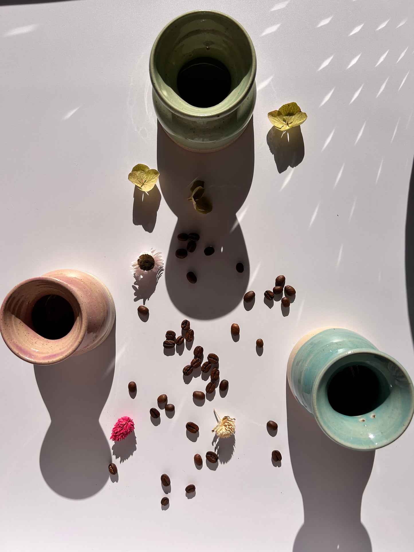 Vase germoir pour noyaux d’avocat