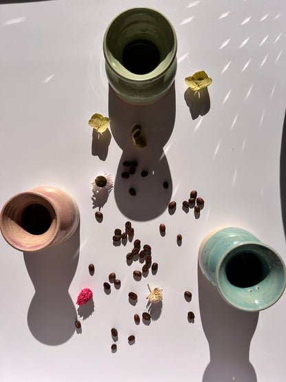 Vase germoir pour noyaux d’avocat