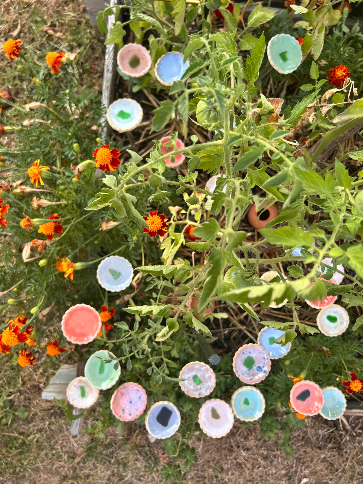 Hâltes fraîcheur pour pollinisateurs - papillons, abeilles