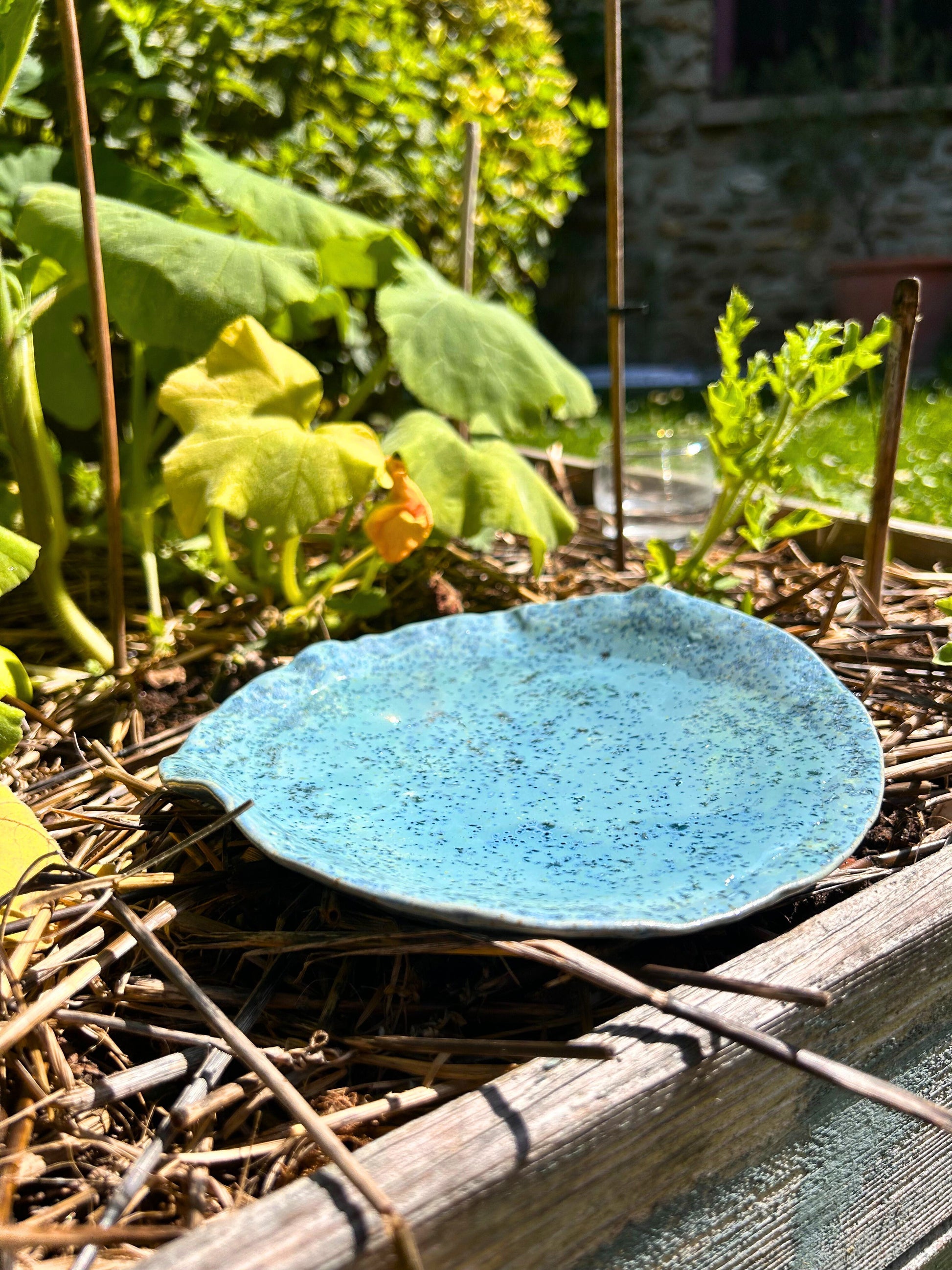 Baignoire a oiseaux en ceramique bleue 2