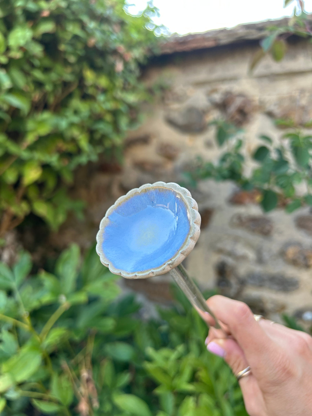 Hâltes fraîcheur pour pollinisateurs - papillons, abeilles