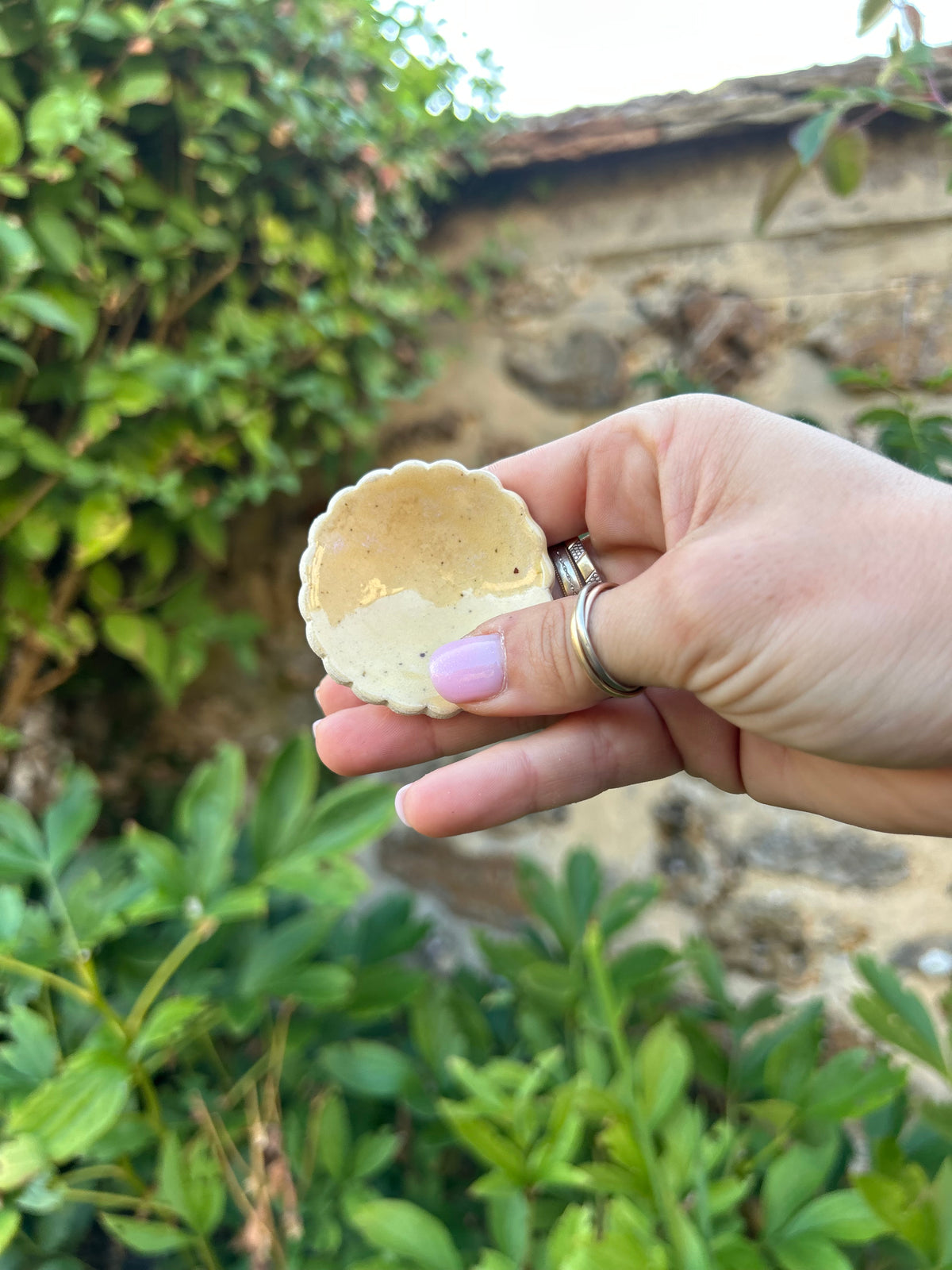 Hâltes fraîcheur pour pollinisateurs - papillons, abeilles