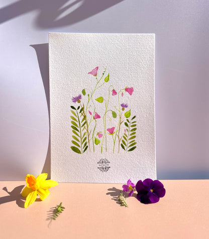 Aquarelle A5 - Liseron du printemps