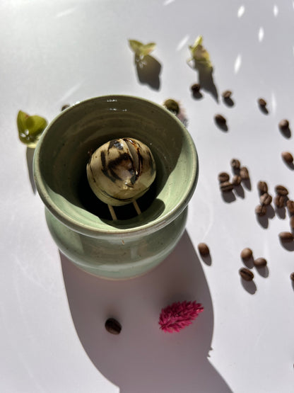 Vase germoir pour noyaux d’avocat