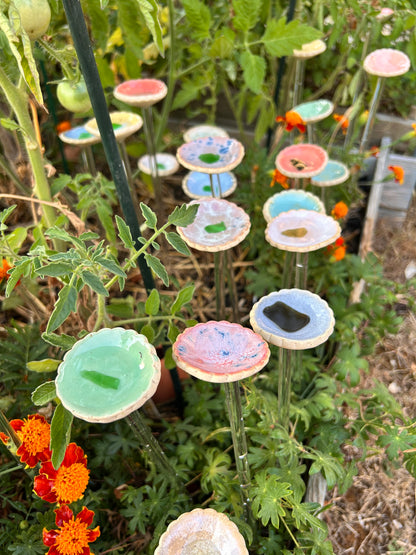 Hâltes fraîcheur pour pollinisateurs - papillons, abeilles