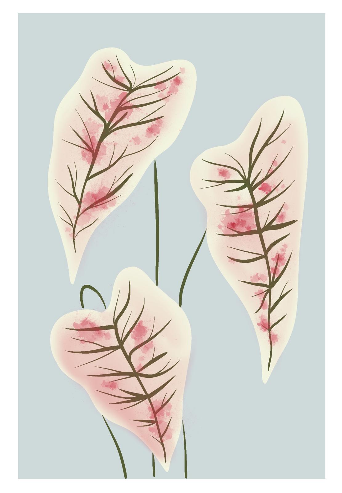 Illustration numérique A4 - Caladiums